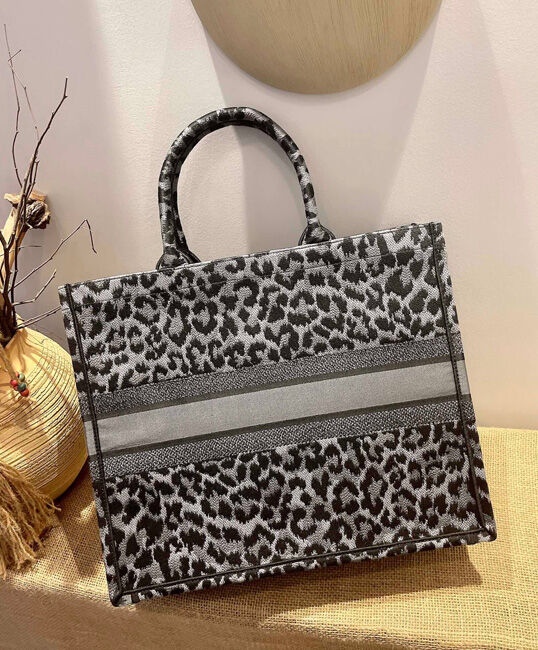 Christian Dior Book Tote Mizza Embroidery Bag Gray